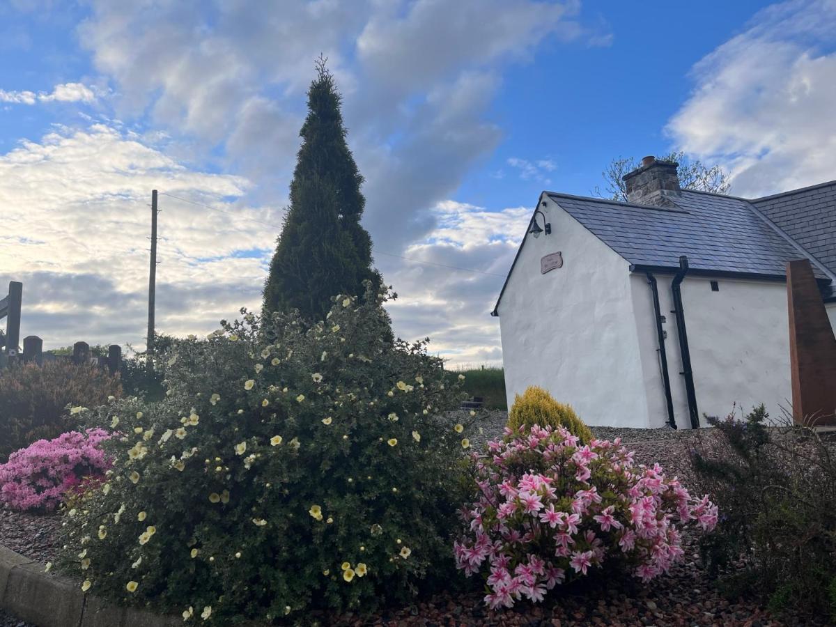 Dans Wee Cottage Slieve Croob Dromara Castlewellan Newcastle Exterior photo