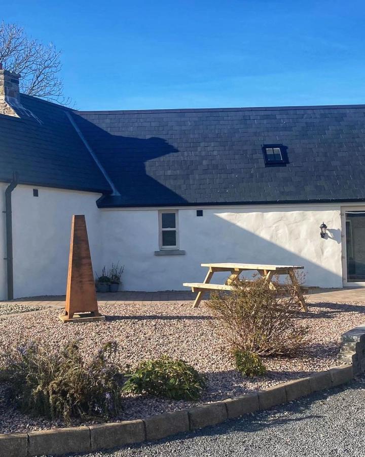 Dans Wee Cottage Slieve Croob Dromara Castlewellan Newcastle Exterior photo